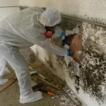 Is Your Health at Risk from Mold?