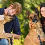 How to Hire the Right Professional Dog Trainer